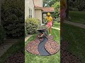 I Built a Giant Guitar in My Yard! 🎸🌱 (Insane Landscaping)