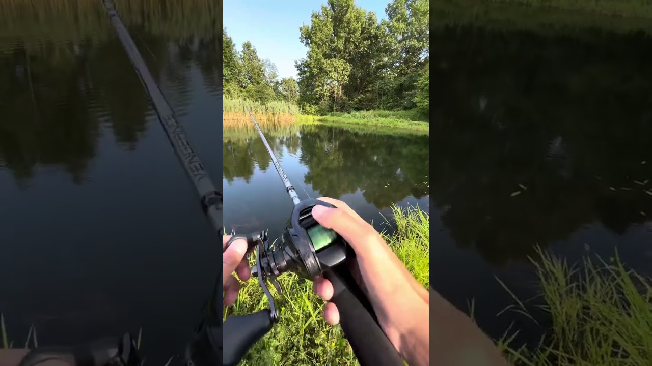 FIRST VIDEO: bass fishing at my backyard pond