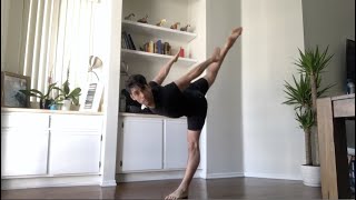 Dancing From A Distance J Chen Project