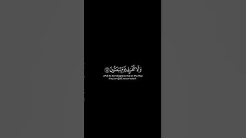 ولا تخزني يوم يبعثون | #كرومات_قرآن للقارئ أحمد النفيس.