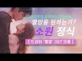 🎧 어느 날 우리 집 현관으로 멸망이 들어왔다 OST 모음 | 멸망을 원하는가 🌠 소원 정식 | 오스트맛집 뮤직앤뉴 추천메뉴 18