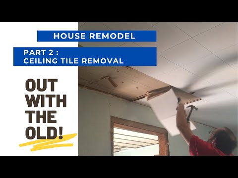 DEMO DAYS CONTINUE/ CEILING TILE REMOVAL