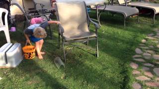 nathan easter egg hunt 2012
