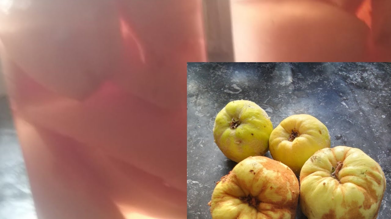 تابعوا معي الطريقة المثلى لتعليب السفرجل وفي متناول الجميع@