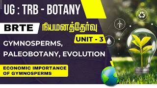 UG : TRB - BOTANY - நியமனத்தேர்வு - UNIT - 3 - ECONOMIC IMPROTANCE OF GYMNOSPERMS