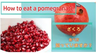 アメリカでよく見かける果物 Pomegranate ざくろ 写真付きでご紹介 Lisutocoblog りすとこブログ Life In America