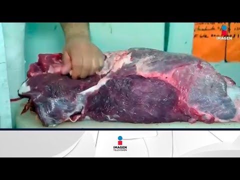 Video: ¿La carne de res de cabeza de caballo se vende al público?