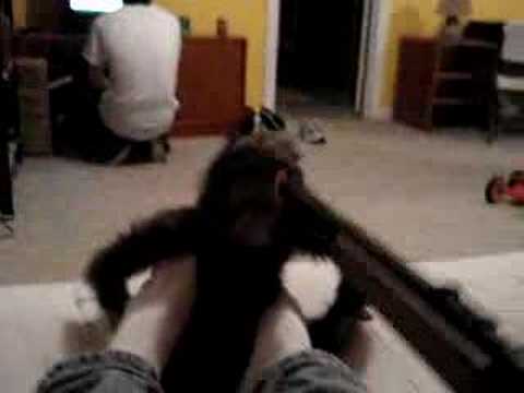 EVOLUTION MY ASS! auf YouTube ansehen EVOLUTION MY ASS! auf YouTube ansehen