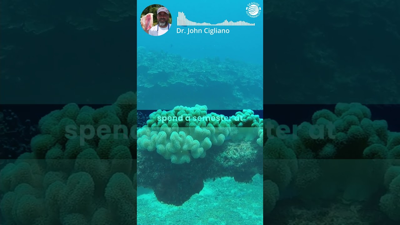 marine scientist experience #environmentalfuture  #sustainablesolutions #podcast