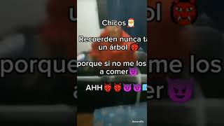no talen árboles XDDD