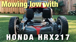 HONDA HRX217 | Mowing Low with a Rotary Mower