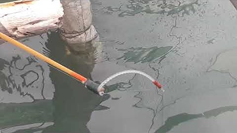 Phát hiện ổ cá dìa gần bờ thông báo cho anh em cần thủ  biết : (tập 76)