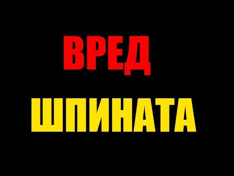 Польза и вред шпината