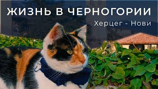 Жизнь в Черногории. Херцег - Нови