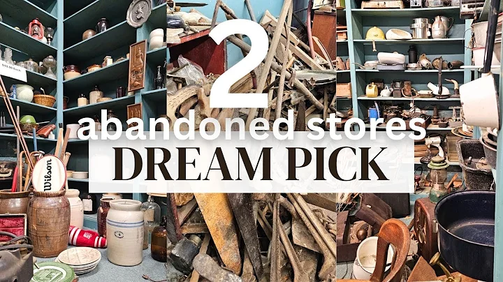 2 forgotten abandoned Antique Junk Stores - Crazy finds - Resalers Dream pick #whatnotpartner
