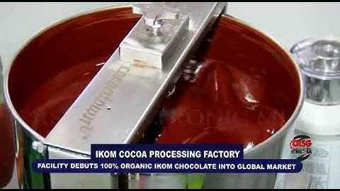 Ikom Cocoa Factory: Facility Debuts 100% Organic Chocolate Into Global Market