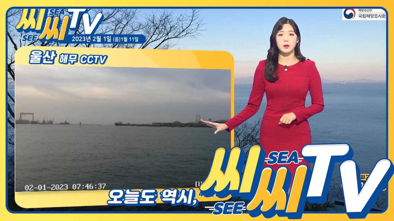 [See Sea TV] 2023년 2월 1일 전국의 물결은 대체로 높지 않겠지만, 다소 강한 바람에 대비는 필요/ 해양예보 On ...