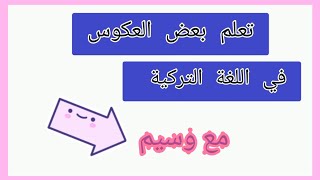 اسهل طريقة لتعلم اللغة التركية للمبتدئين, تركيا, اسطنبول