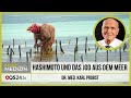 Hashimoto und das Jod aus dem Meer | Dr. med. Karl Probst | Naturmedizin | QS24 Gesundheitsfernsehen