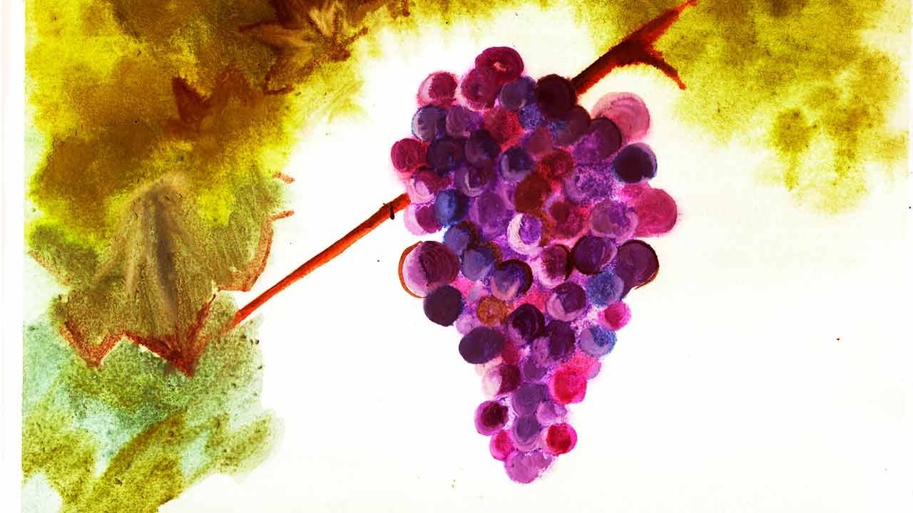 Рисунок акварелью виноград поэтапно