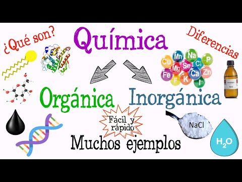 Video: ¿Cuál es la diferencia entre química general y química orgánica?