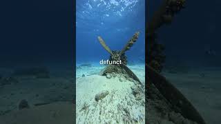 The Creepy Mystery of Point Nemo: Earth's Most Isolated Spot