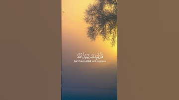 سورة الفرقان , احمد النفيس