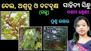 bela aswastha o batabrukhya 10th class odia chapter 16 question answer in odia