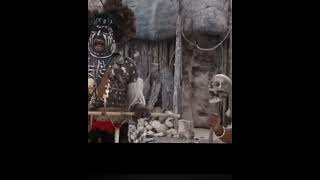 Ace Ventura Pet Detective 2 Top 10 Funniest Scenes