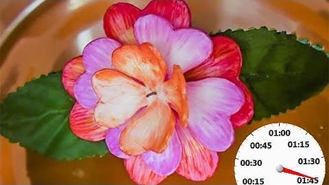 Programmable shape-shifting materials