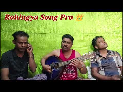 Rohingya song Pro
