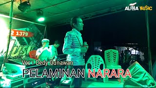 PELAMINAN NARARA || Dedy Gunawan || Live performance