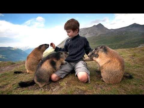 История невероятной дружбы мальчика из Австрии и горных сурков