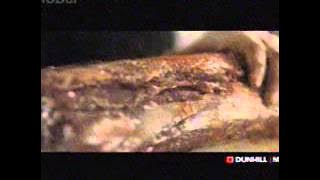 Download lagu Globaltv Dunhill Mild 23 31 (10/03)