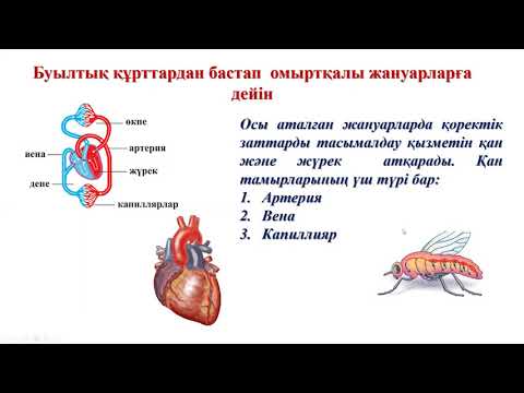 Тірі организімдегі қоректік заттардың тасымалдануы 6 сынып 3 тоқсан 7 сабақ