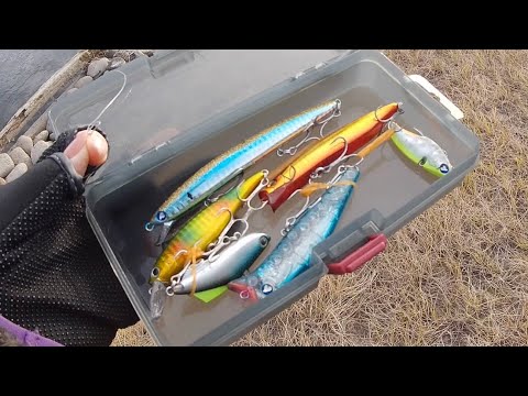 福袋で当たった中古シーバスルアーのスイムチェックしてみた - YouTube