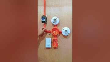 2 gang switch with 2 bulb wiring connection