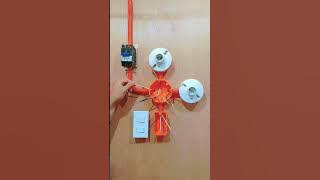 2 gang switch with 2 bulb wiring connection