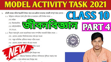 New Model Activity Task Class 10 Life Science Part 4 |  Activity Task Answer #WBBSE #জীবনবিজ্ঞান