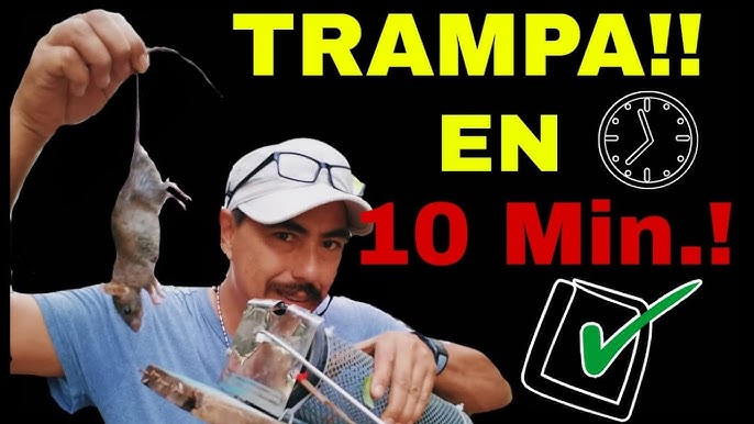 LAS MEJORES TRAMPAS PARA RATAS DIY QUE FUNCIONAN!! Desafío de