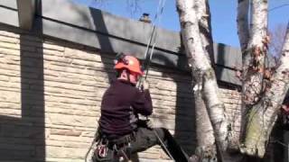White Birch Issues.m4v