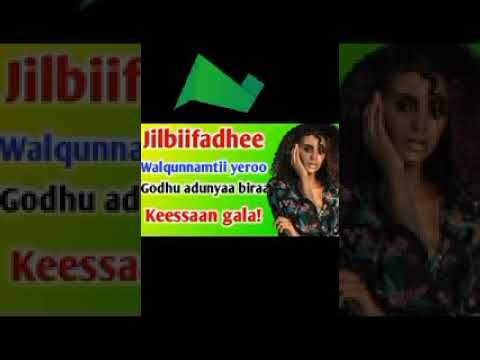 Jilbiifadhee Yaroon Walqunnamtii Saalaa Godhu Akkam Namatti Tola Seetan