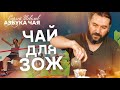 Чай и Здоровый Образ Жизни. Азбука Чая.