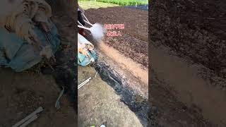 Revolutionizing Farming: The New Farmers Flow Support Program Unveiled