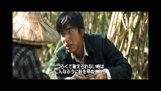 サトウキビ畑で未来を語る兄妹――「霧のごとく」本編映像