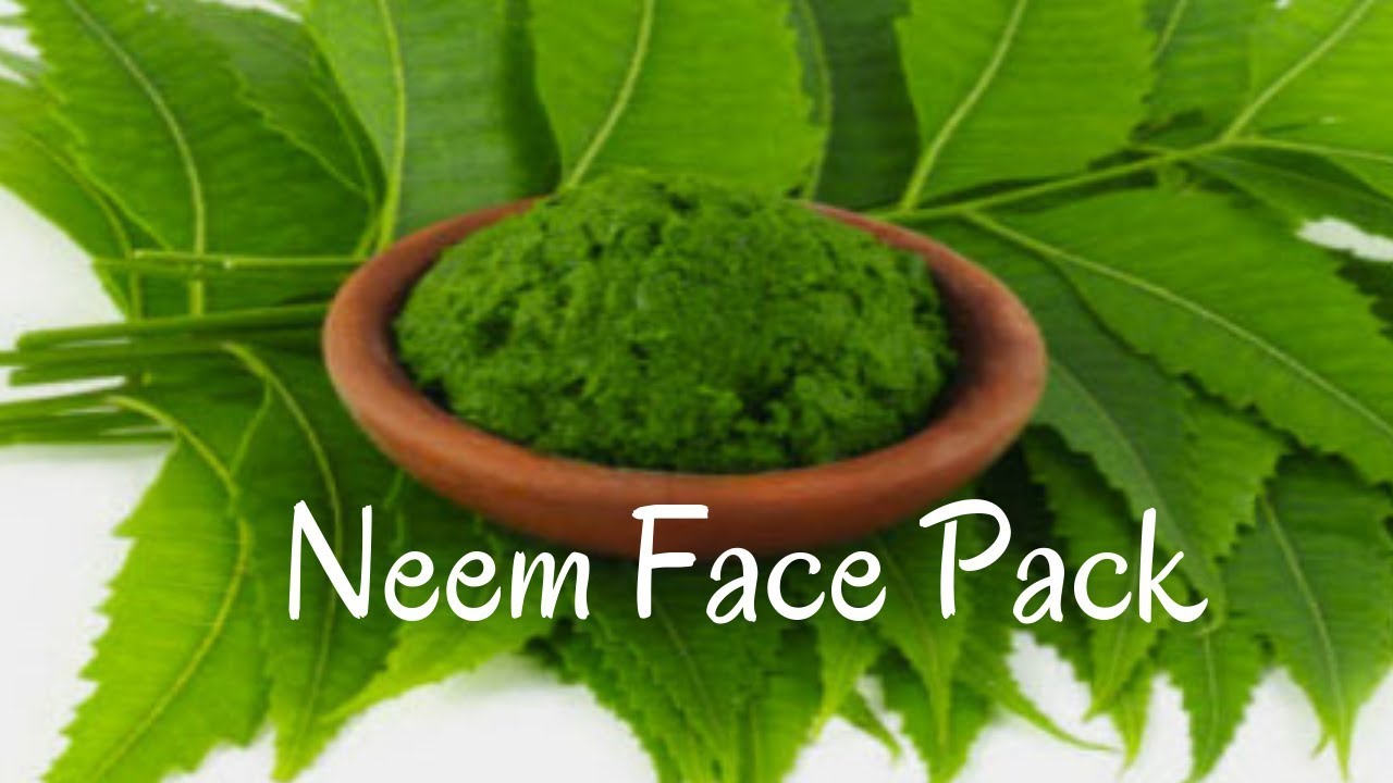 Neem Face Pack Neem Face Mask DIY Philocaly YouTube