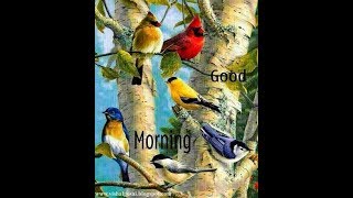 Good Morning Birds Image status screenshot 5