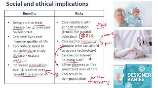 GMOs, TGOs and ethics