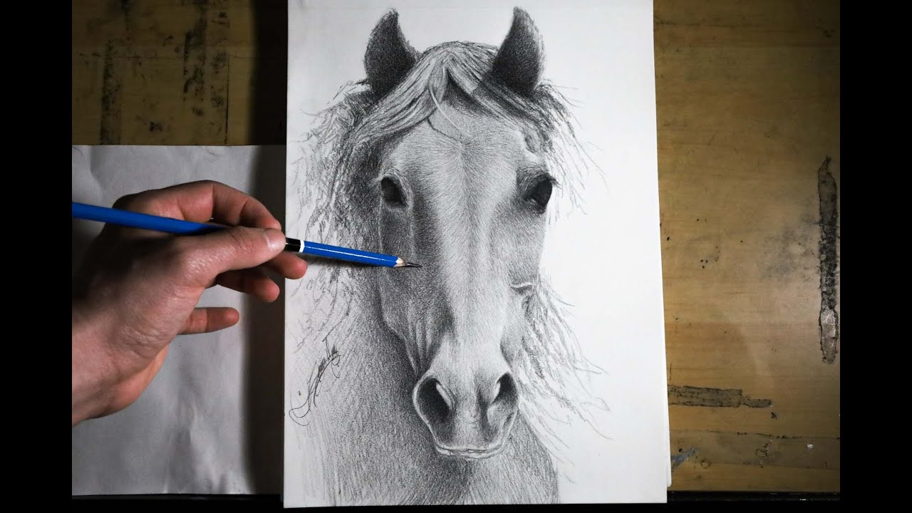 DIBUJO DE UN CABALLO A LAPIZ REALISTA/COMO DIBUJAR UN CABALLO A LAPIZ  REALISTA - thptnganamst.edu.vn