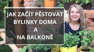 Jak začít pěstovat bylinky doma a na balkoně